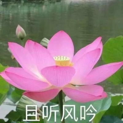 疾风街头手游果盘版下载